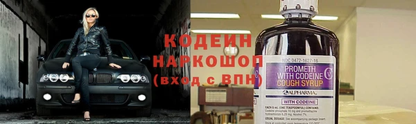 дживик Верхний Тагил