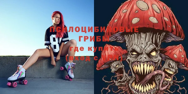 стафф Бронницы