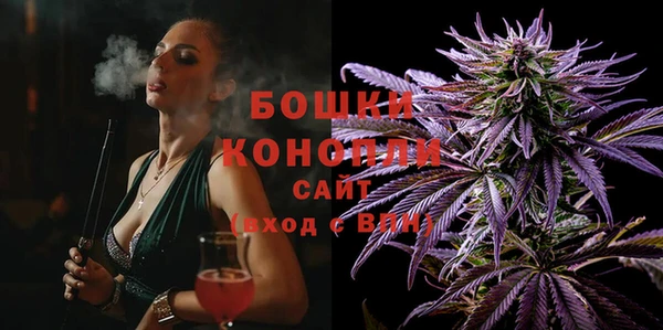 ГАЛЛЮЦИНОГЕННЫЕ ГРИБЫ Бородино