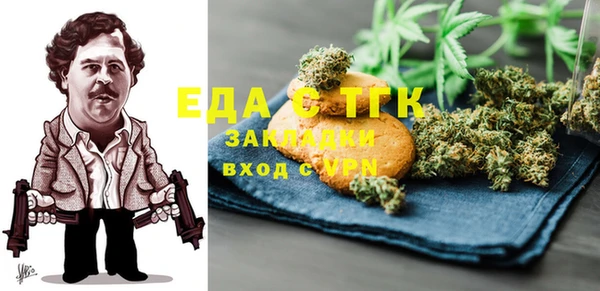 дживик Верхний Тагил
