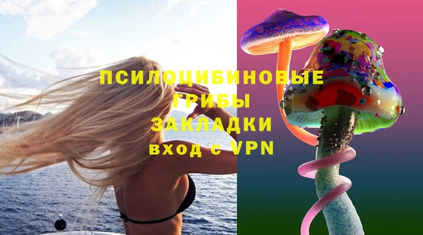 каннабис Верея
