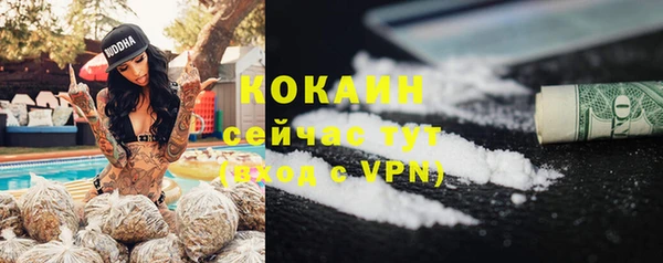 ГАЛЛЮЦИНОГЕННЫЕ ГРИБЫ Бородино