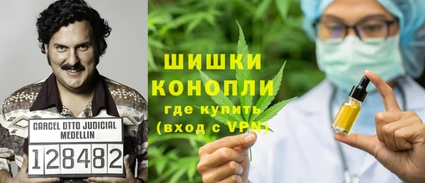 дживик Верхний Тагил