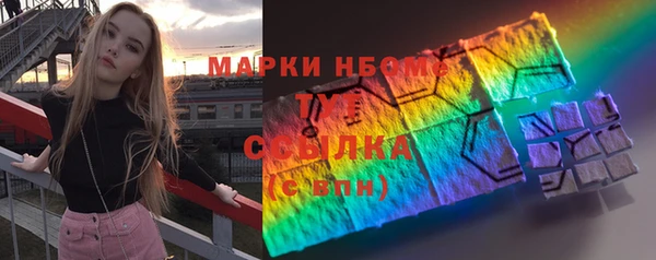 дживик Верхний Тагил