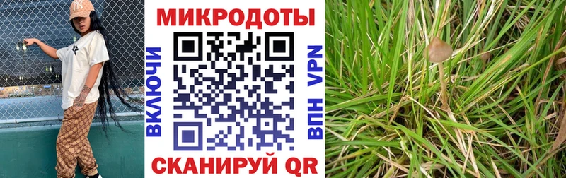 Псилоцибиновые грибы Magic Shrooms  цена   Дубна 